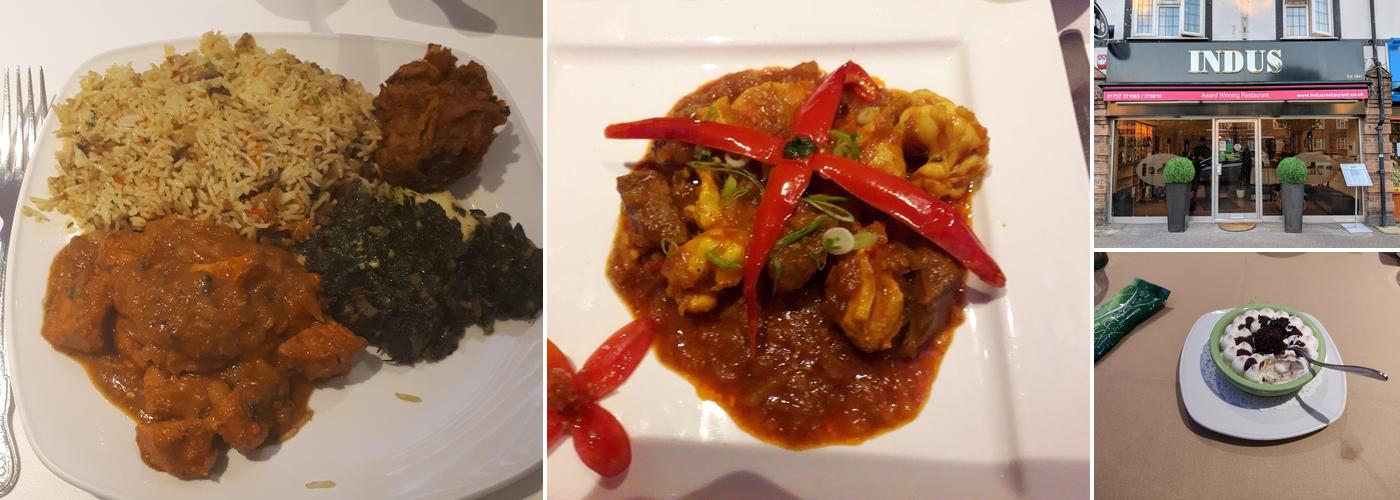 The Indus Restaurant