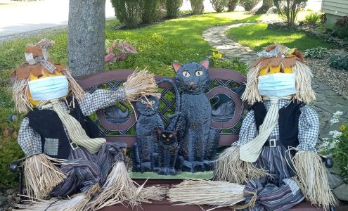 Sculptured Cut By Mr Guy 20 Ash Swamp Rd, Newmarket New Hampshire 03857