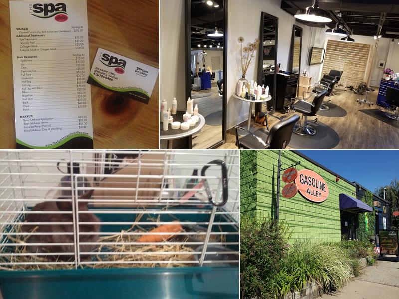 Gasoline Alley the Salon