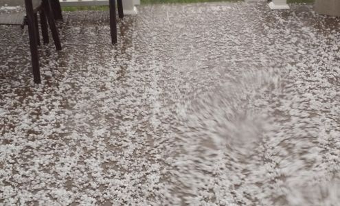 Carol & Co Hair Studio