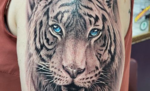 Van Gogh Tattoos & Piercings