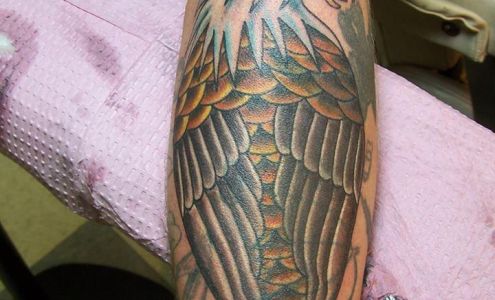 Aardvark Tattoos & Body Piercing 125 N Clinton Ave, St Johns Michigan 48879