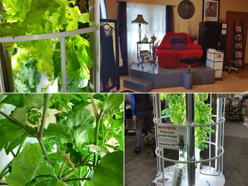 ChrisAnn's Nails, Pedicures & Notions