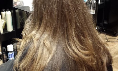 Montage Hair Design Santa Rosa