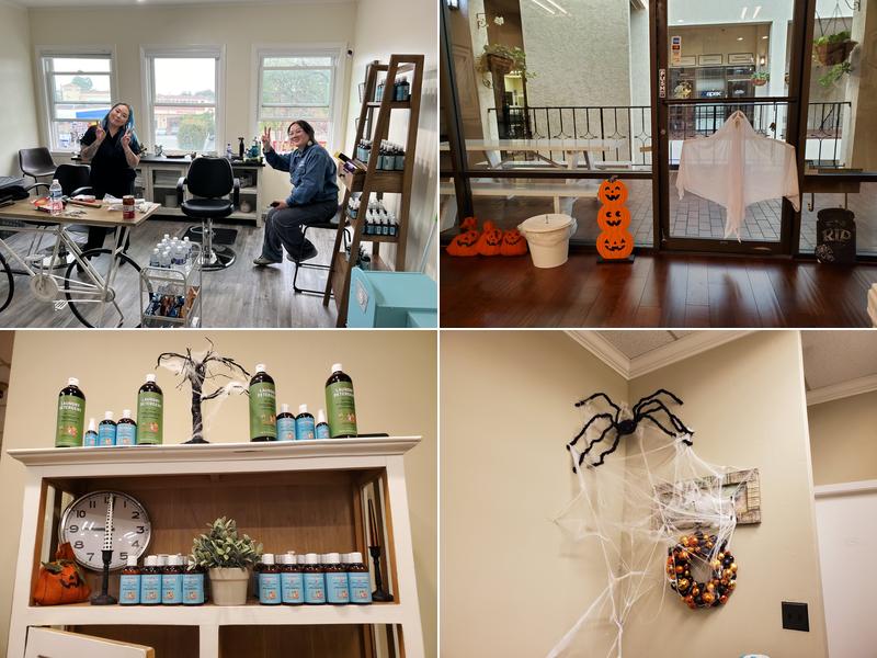 Hair Fairies The Head Lice Helpers