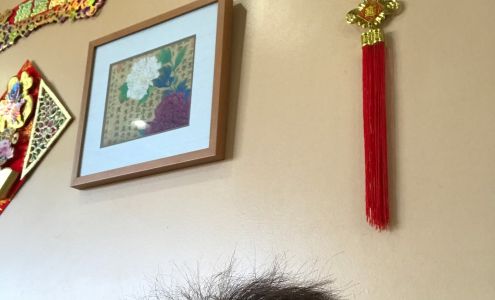 Elite Hair Salon Hair Nail Daly City