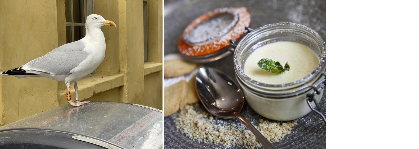 The Crystal Palace, Bath