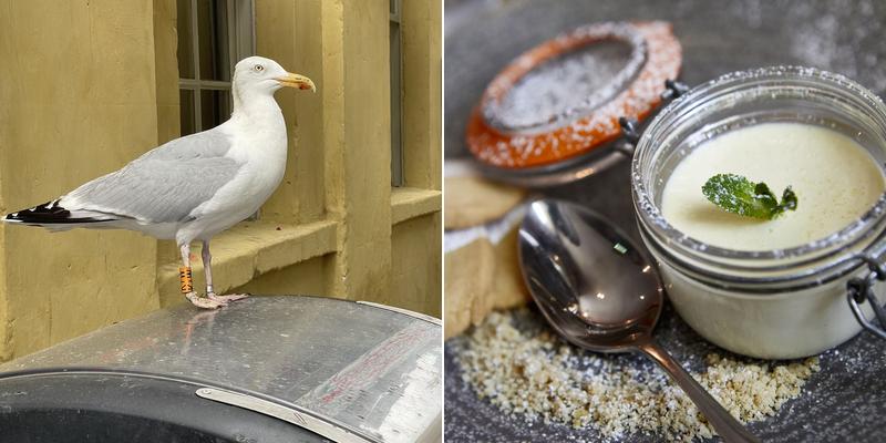 The Crystal Palace, Bath