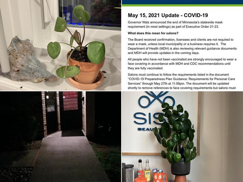 Shawn's Salon Associates