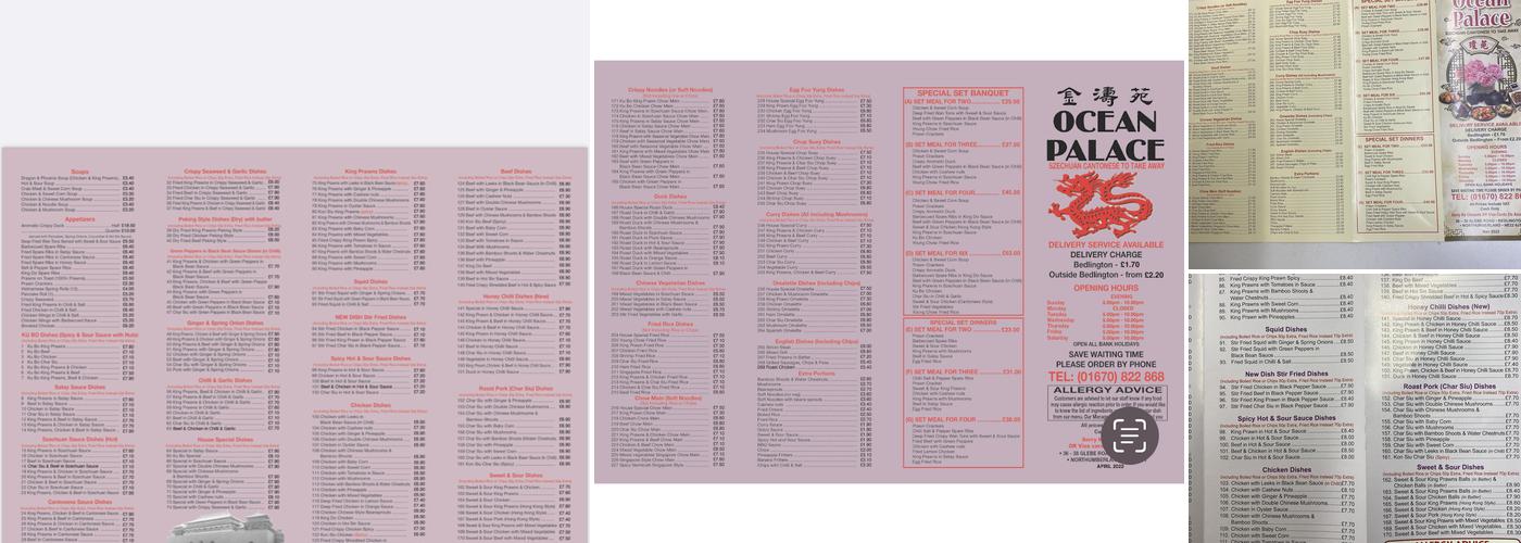 Ocean Palace Chinese Take Away Menu