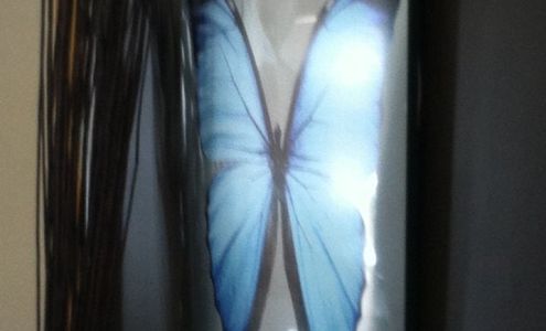 Thomas Laurence Salon