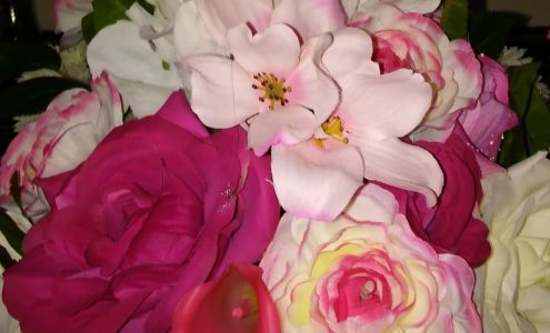 Marisa's Fortress of Beauty