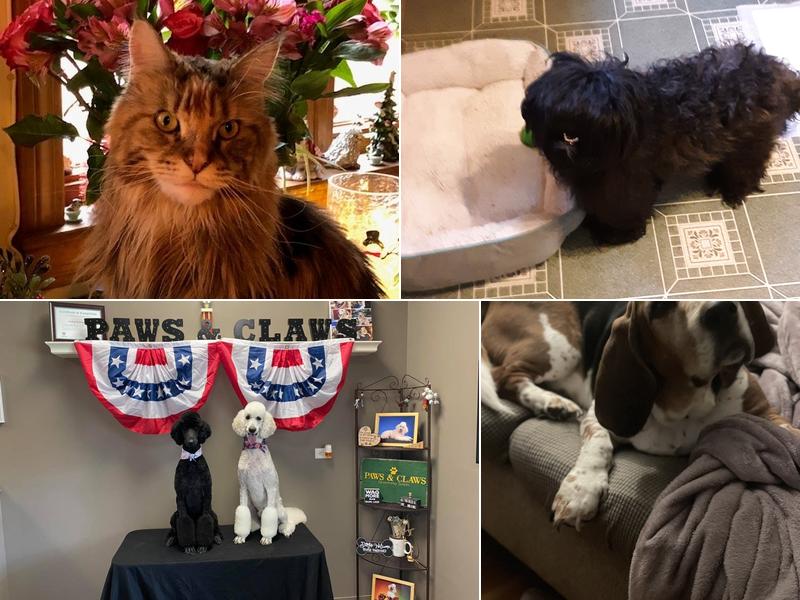 Paws & Claws Grooming Salon inc