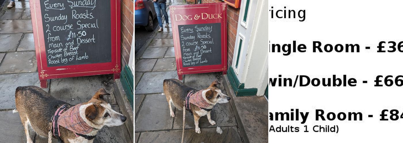 Dog & Duck Inn Menu