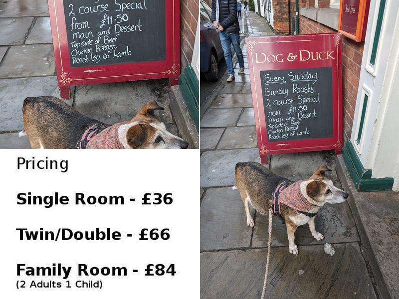 Dog & Duck Inn Menu