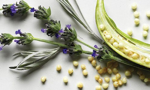 CARMEN! CARMEN! Prestige Salon é Spa at Belk