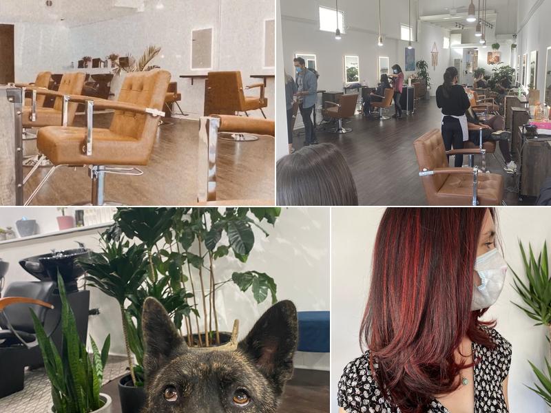 Blow Drys @ The Salon Venice