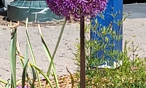 Twins Nails Salon South Orange