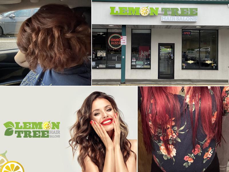 Lemon Tree Hair Salon Sussex