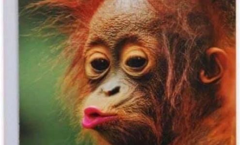 Trish's Nail & Hair Design Elkton