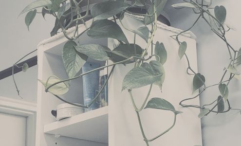 Cori's Hair Design Davison