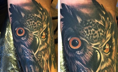 The Asylum Tattoos & Fine Art 100 Straley Ave, Princeton West Virginia 24740