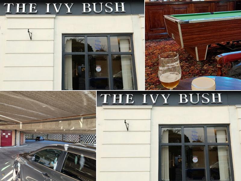The Ivy Bush