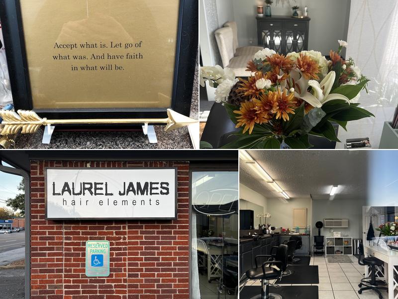 Laurel James Hair Elements