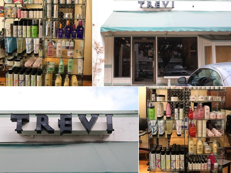 Trevi Hair Studio