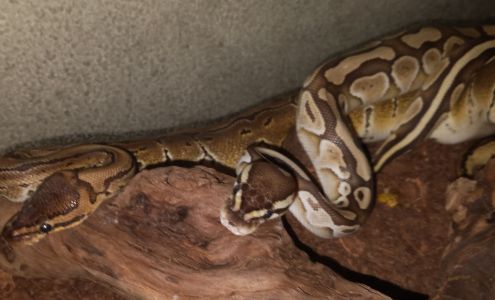 CapRock Salon Suites Lubbock