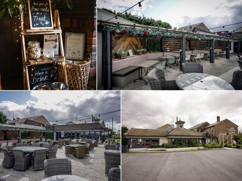 Spread Eagle Blackburn