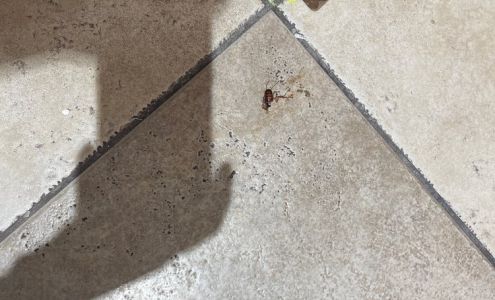 Kim's Nails Wichita Falls