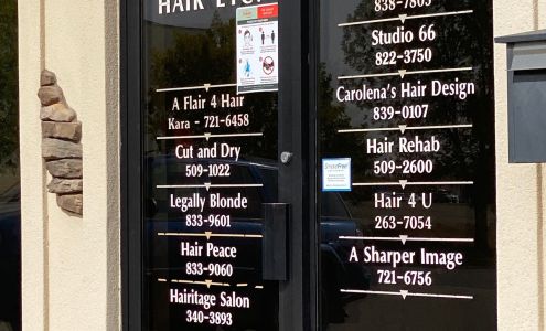 Legally Blonde Hair Salon Minot