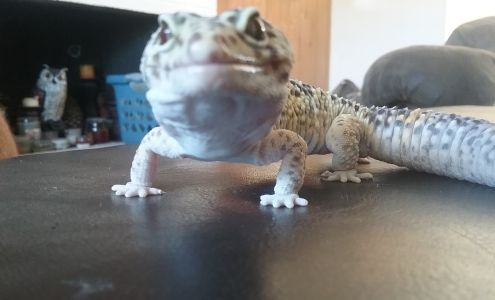 Snowbird Beauty Salon Junction City