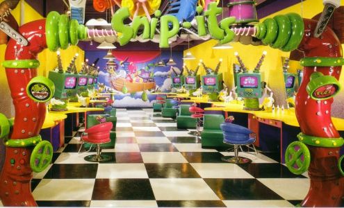 Snip-its Haircuts for Kids