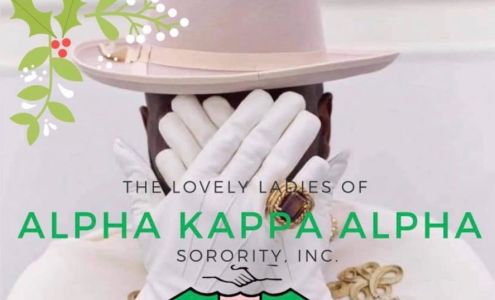 Salon Major 1168 Basketweave Dr, Mt Pleasant South Carolina 29466