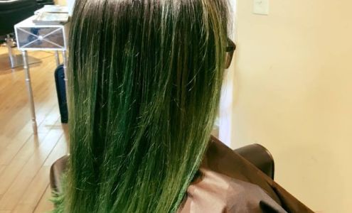 Creative Shears Salon 1256 Ben Sawyer Blvd # B, Mt Pleasant South Carolina 29464