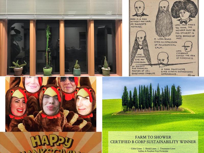 The Giving Tree Salon