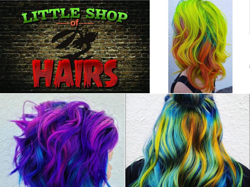 Little Shop Of Hairs