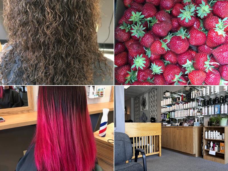 Shear Magic By Danielle & Co