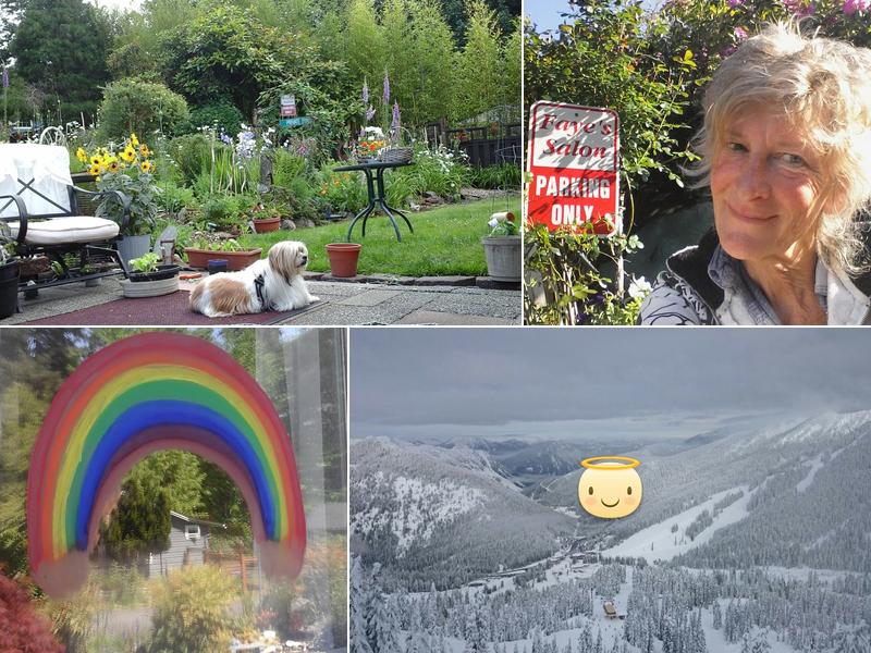 Faye's Shear Delight