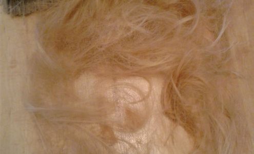 Hairloom Styling Salon