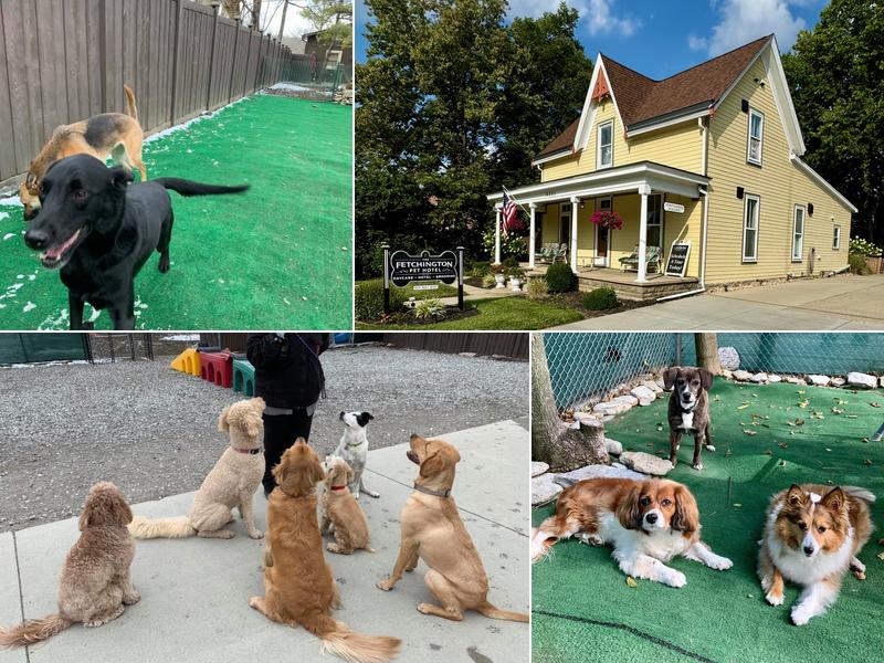 The Fetchington Luxury Pet Hotel