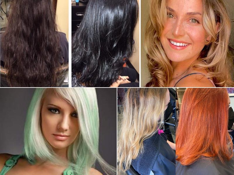 Paul Donnell Toluca Lake