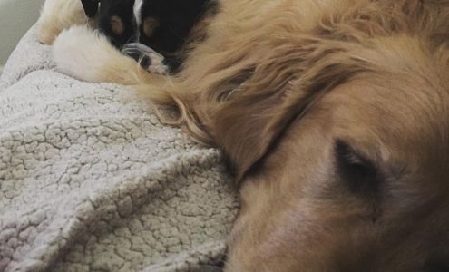 Vavoom Salon 3171 Solano Ave, Napa California 94558