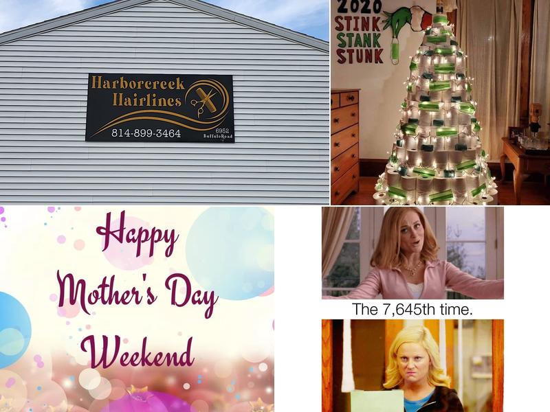 Harborcreek Hairlines