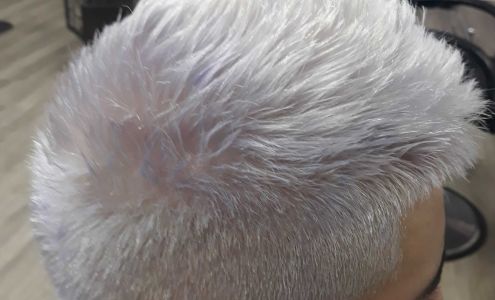 Diana's Hair Styling