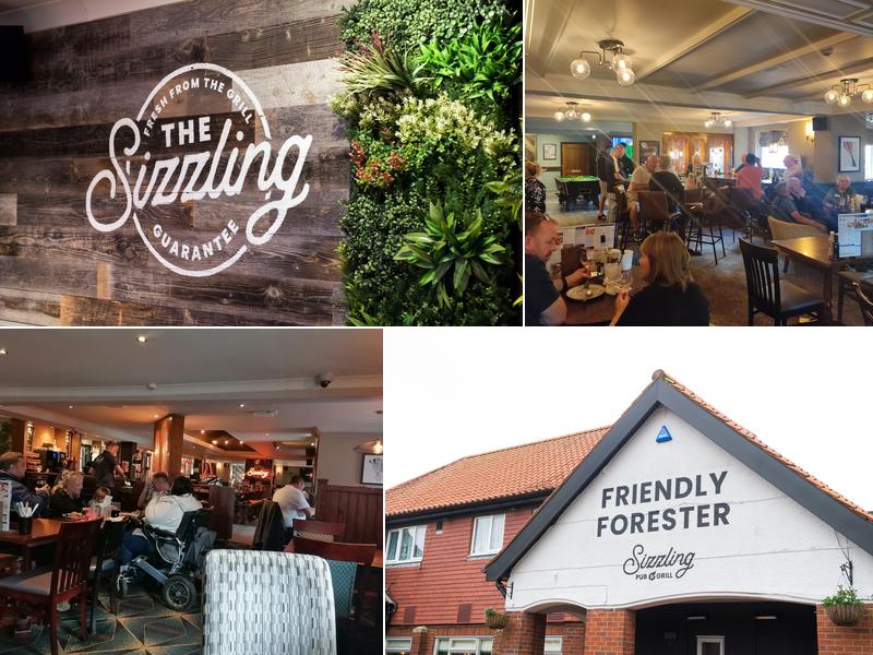 The Friendly Forester