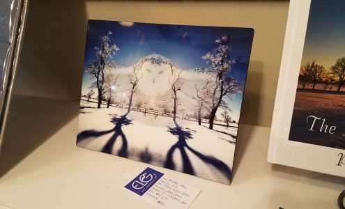 Black Iris Studio 1018 Ludington St, Escanaba Michigan 49829