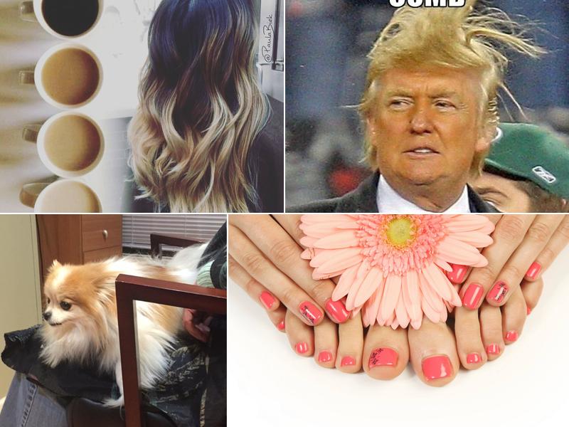 New Images Hair Design Studio